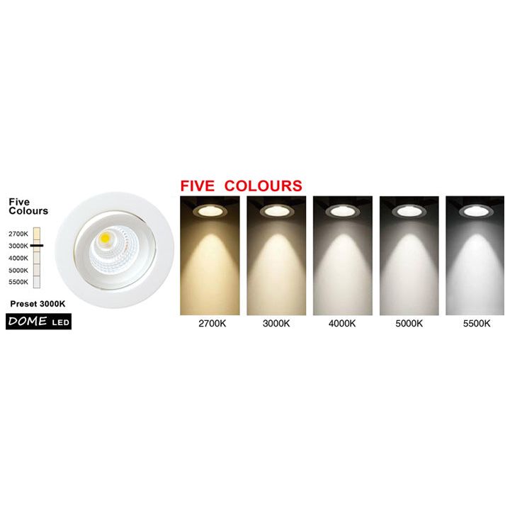 PHL10D Dome Five Colours LED Gimble Downlight