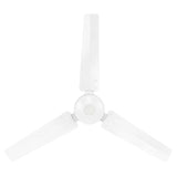 Brillant PACIFICA Metal 3-Blade AC Fan