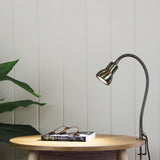 Oriel Lighting SCOPE Adjustable Gooseneck Clamp Lamp