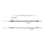 Havit 24v DC NEOLITE Flexible LED Strip