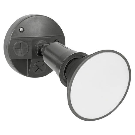 Mercator Sanders Flood Light