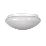 Oriel Lighting CLIPPER Light for Ceiling Fan