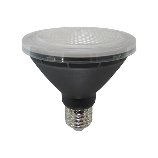 CLA  Par30 LED Globe