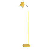 CLA PASTEL Interior Powder Coated Iron Floor Lamps