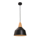 Mercator Noel Pendant