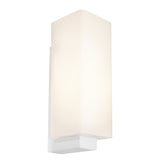 Cougar RAMON 1LT Wall Light