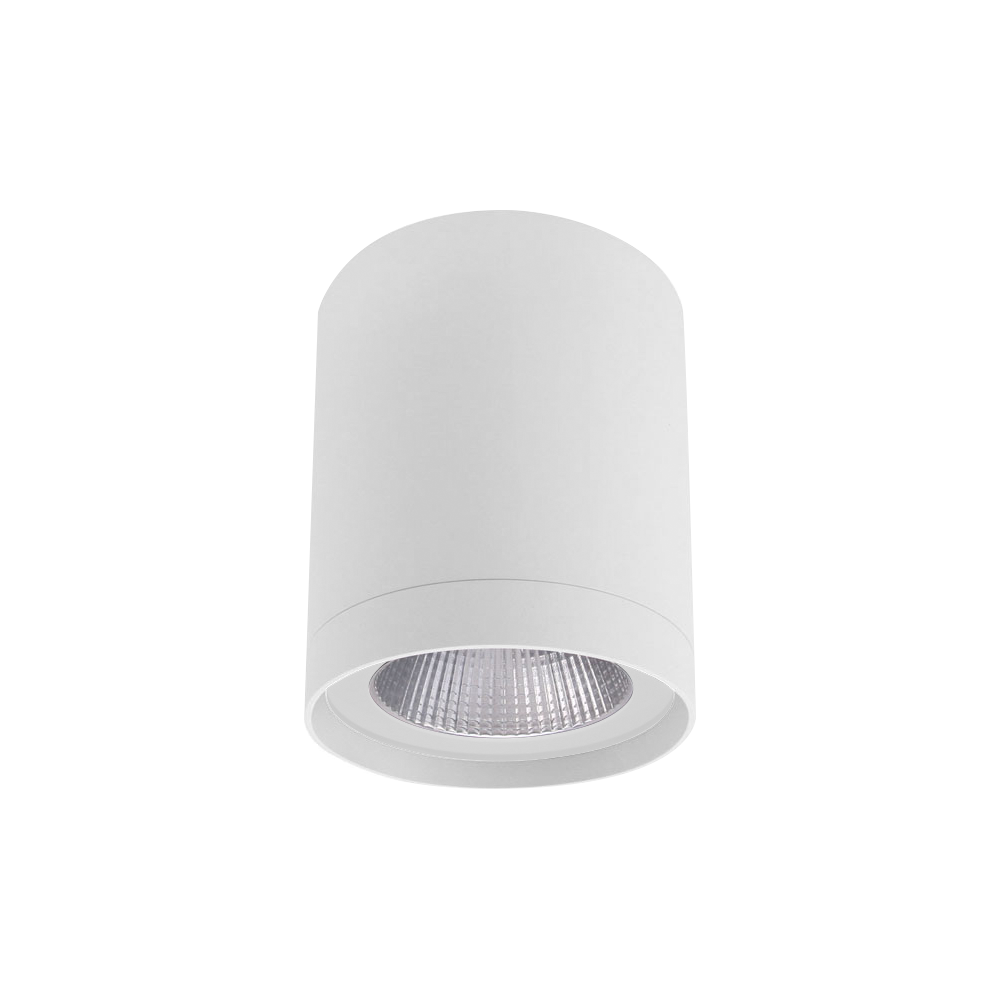 SAL COLUMN S9603 Surface Mount LED Downlight