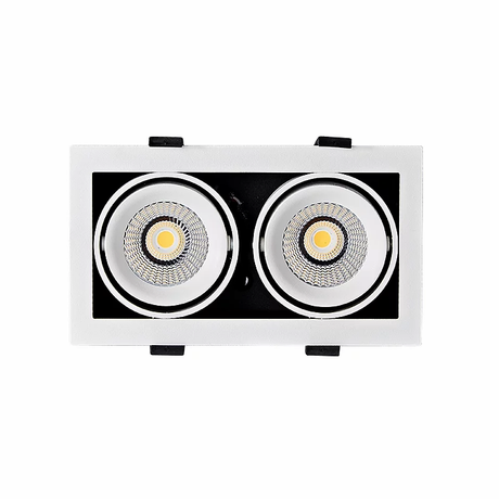 3A Lighting 2X10W SQ Adjudtable Downlight LUX-DD1810M-C20W