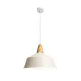 Mercator Noel Pendant