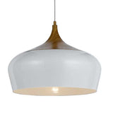 Telbix Polk PE46 Pendant